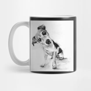 curious dog Mug